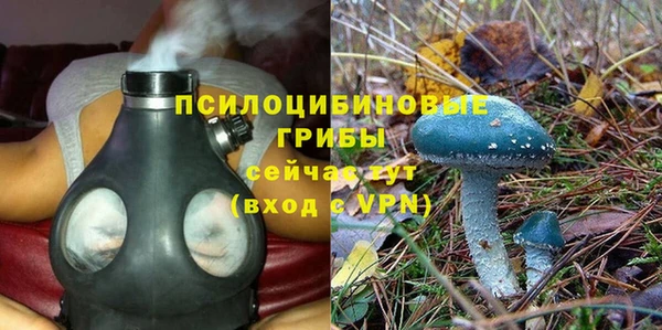 ALPHA-PVP Нефтекумск