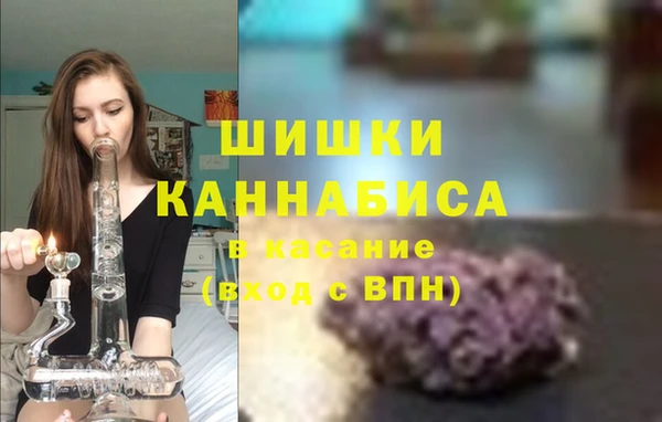 бошки Нея