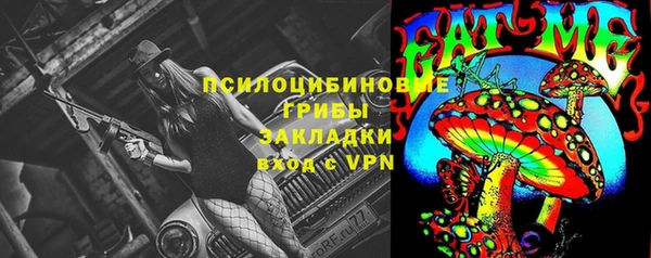 бошки Нея