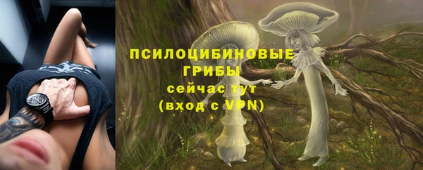 мяу мяу мука Нефтегорск