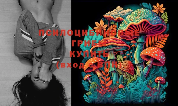 бошки Нея